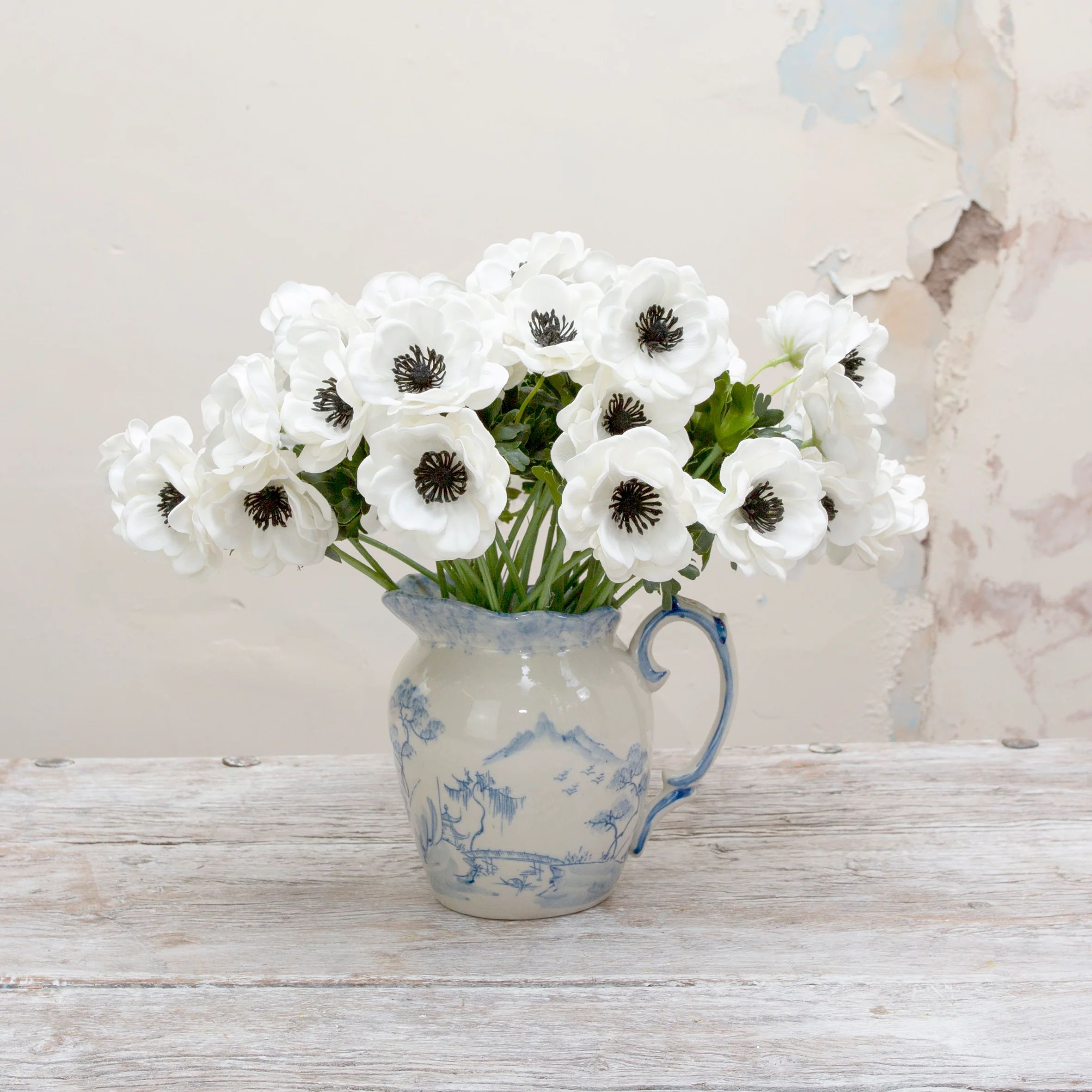 Shop Peony